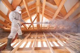 Best Radiant Barrier Insulation  in Lake Wazeecha, WI